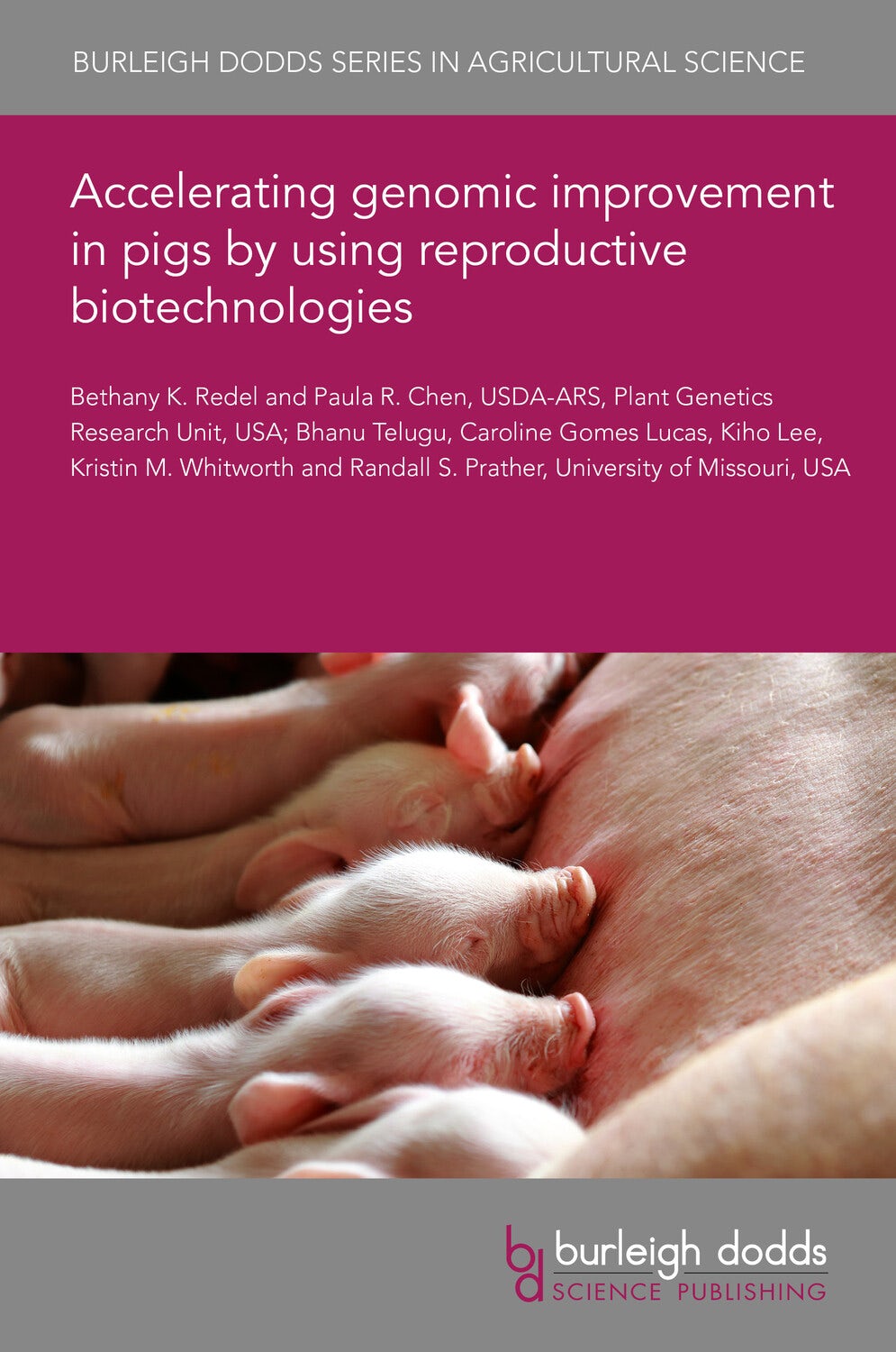 Book cover image for Accelerating genomic improvement in pigs by using reproductive biotechnologies ISBN: 9781835454046